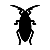 Cockroaches Treatment